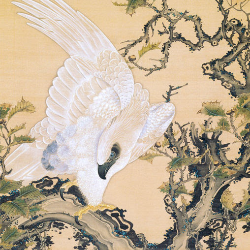 伊藤若冲 壁紙ギャラリー Kagirohi