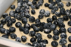 Blueberry Crumb Cake