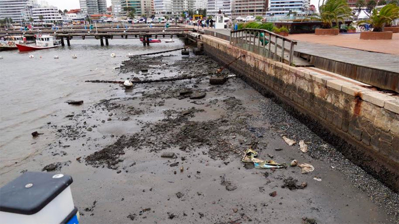ocean mysteriously disappears in Uruguay on August 11 2017, ocean mysteriously disappears in Uruguay on August 11 2017 pictures, ocean mysteriously disappears in Uruguay on August 11 2017 video, Fotos de excepcional fenómeno en Uruguay: Se retiró el mar en Punta del Este, ocean mysteriously disappears in Punta del Este Uruguay on August 11 2017.