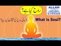 What Is Soul Read Online