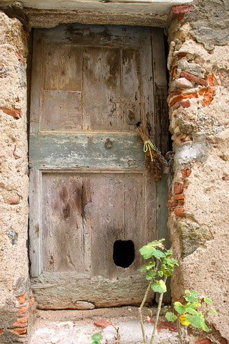 Door