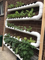 Gaya Terbaru 29+ Nft System Hydroponic