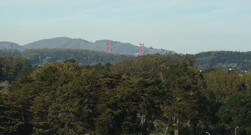 Bridge over park