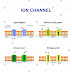 Ligand Gated Ion Channels