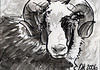 ACEO28