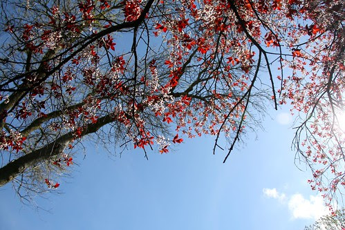IMG_5638