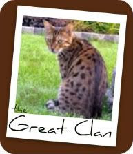 The Great Clan