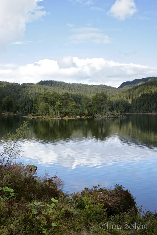 Bymarka Trondheim