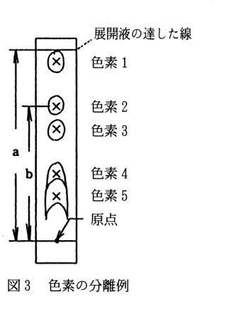 実習22 光合成色素の分離