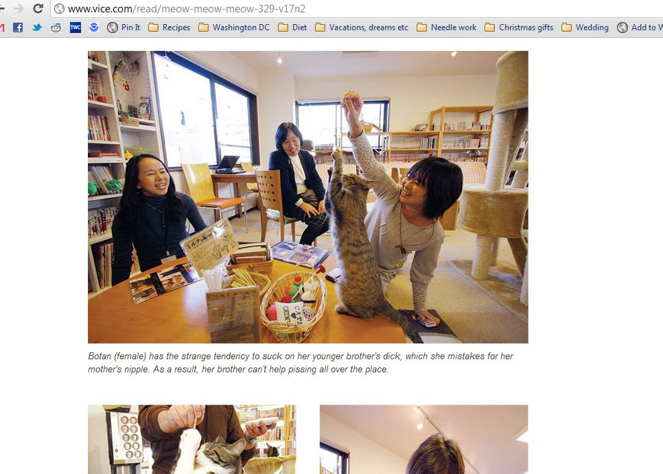 Botan: The Japanese Fellatio Feline