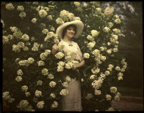 flowers photo