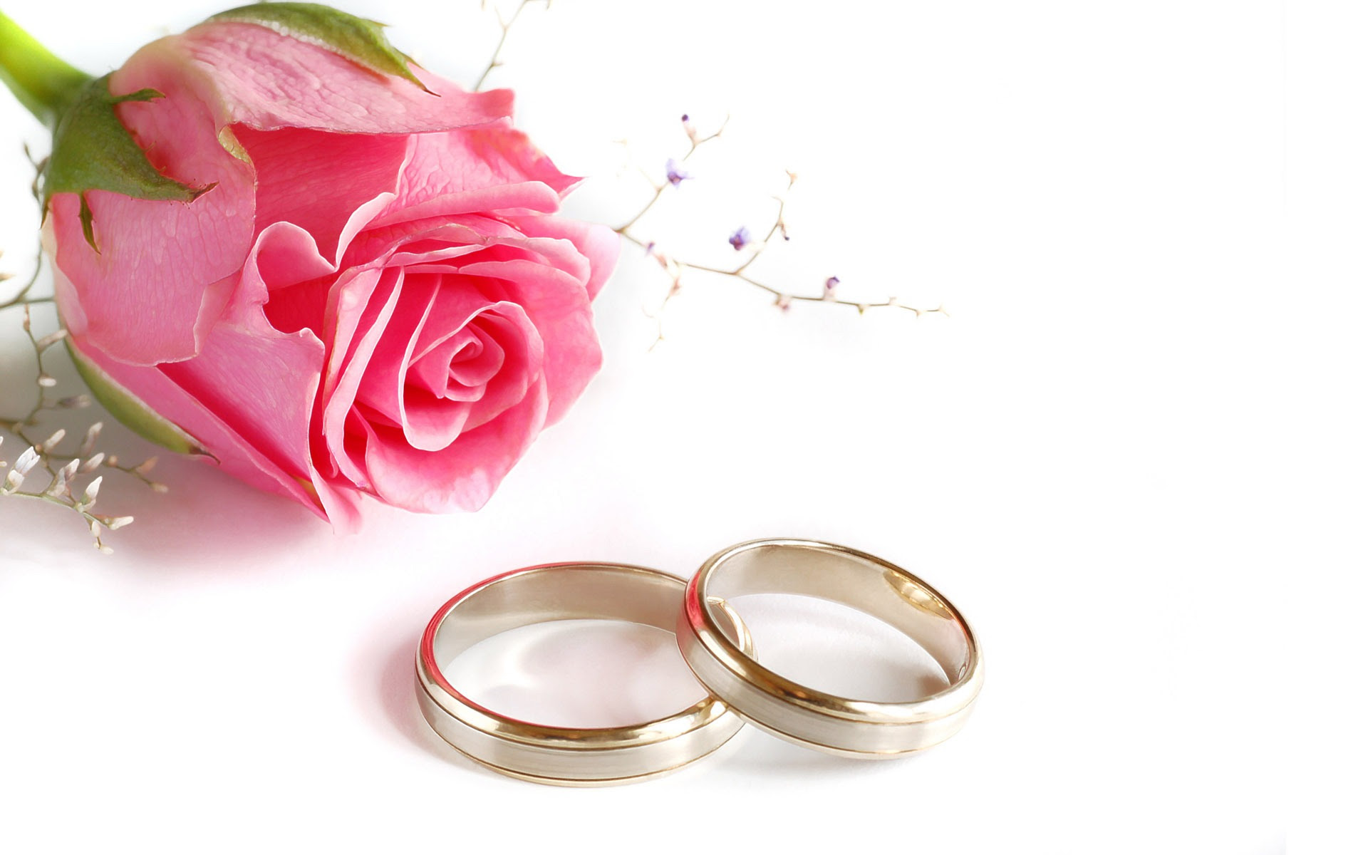 ウェディングや結婚指輪の壁紙 2 12 19x10 壁紙ダウンロード ウェディングや結婚指輪の壁紙 2 祭り 壁紙 V3の壁紙
