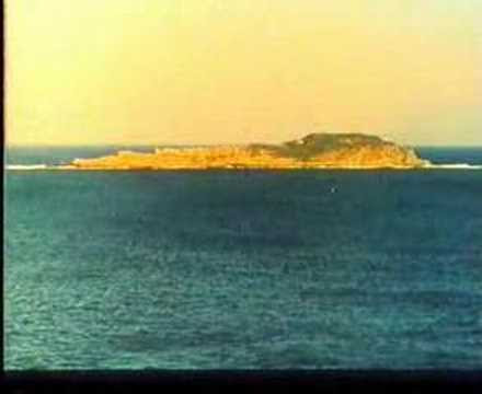 Irudia