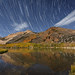 Star Trails Over Fall Colors