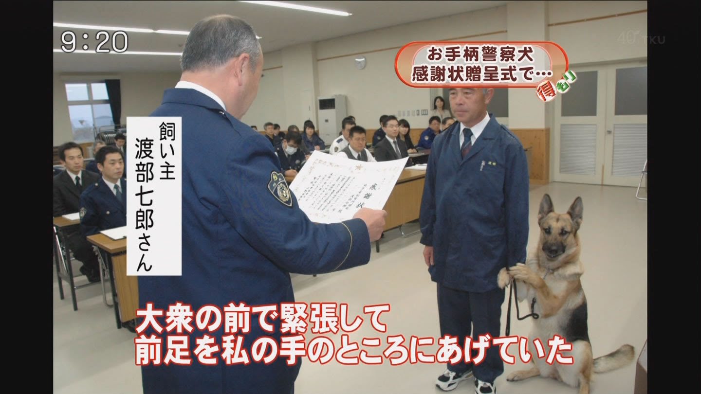 警察犬 面白画像 猫 犬 シュール
