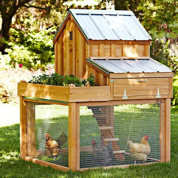 Chicken Coop Ideas - Designs And Layouts For Your Backyard Chickens ...
