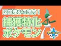 【印刷可能】 サンムーン 捕獲用 332815-サンムーン 捕獲用ドーブル