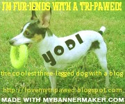 Create your own banner at mybannermaker.com!