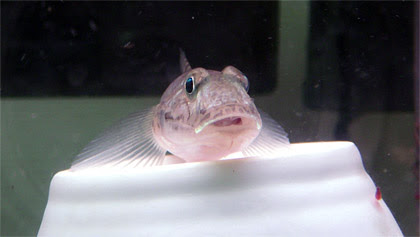 無題ドキュメント