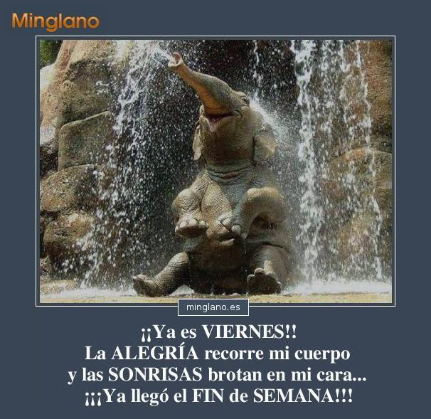 FRASES de ALEGRÍA para un VIERNES