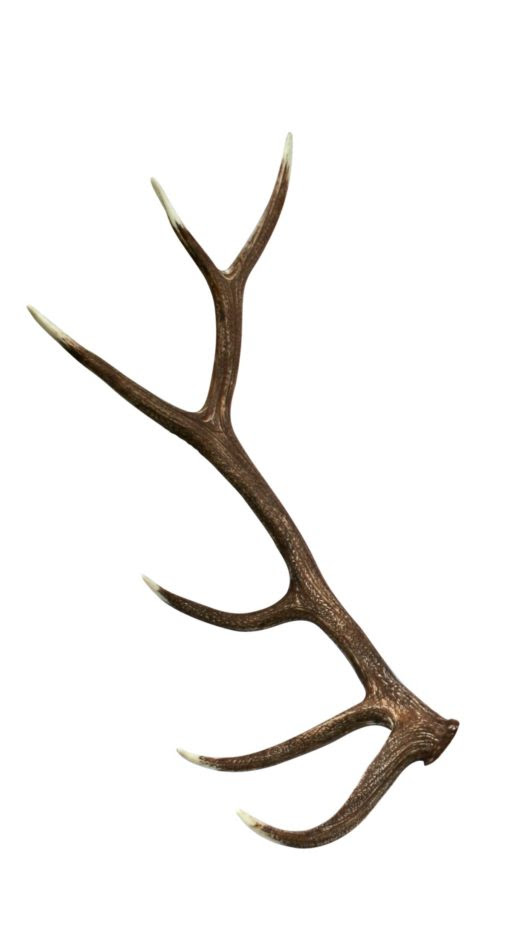 Elk Faux Antler | Cast Horn Designs