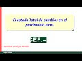 Estado De Cambios En El Patrimonio Ejemplo