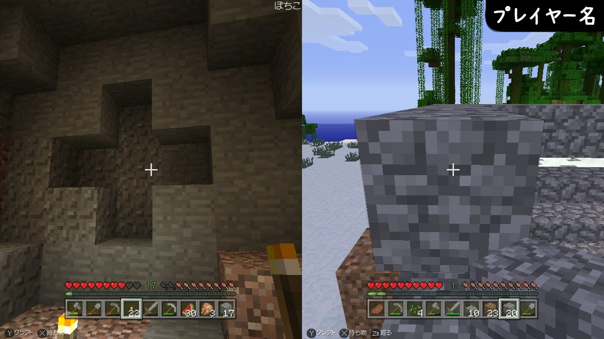 ニンテンドースイッチのminecraft マインクラフト を二人プレイで遊んでみた