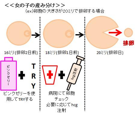 タイミング法による産み分け 妊娠したい 私はこれで妊娠しました