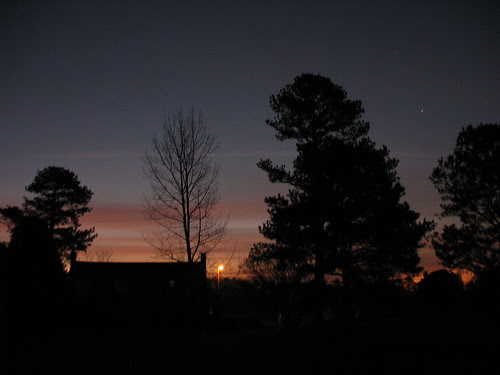 dawn8Jan08-7645