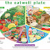 5 Diets That Are Supported By Science