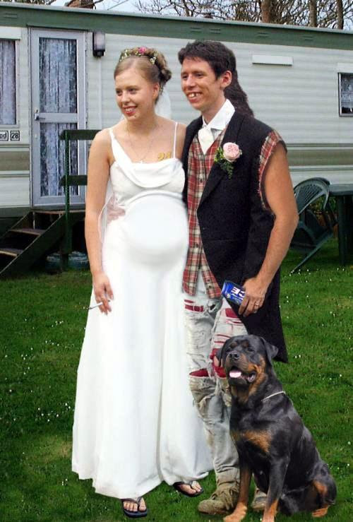 Hillbilly Dogs