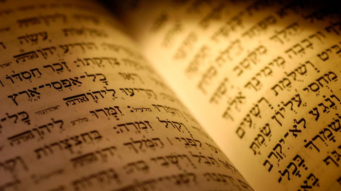 ×¤×¨×©×ª ×'××§