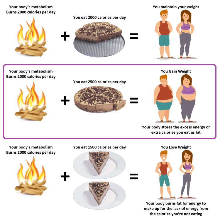 how to lose weight eating 2000 calories a day