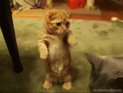 Warble Melancholily in the Friday Open Thread