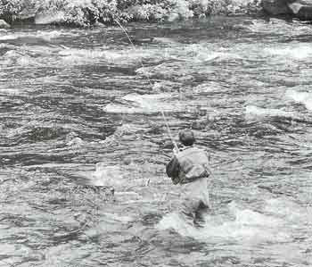 Prospecting for Trout