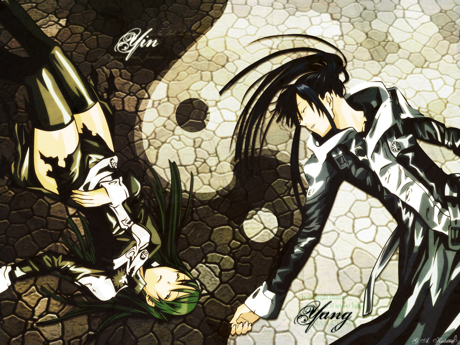 D Gray Man Wallpaper Heaven And Earth Minitokyo