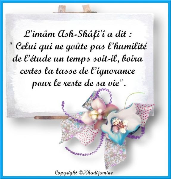 Celui Qui Ne Goute Pas L Humilite De L Etude