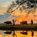 Sự câm lặng ghê sợ