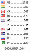 visitors by country counter