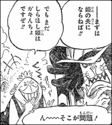 ワンピース 受け継がない意志 ヤマカム