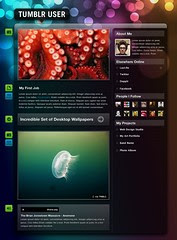 Fluid Tumblr Theme