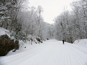 I took this photo of cross country skiing at G...