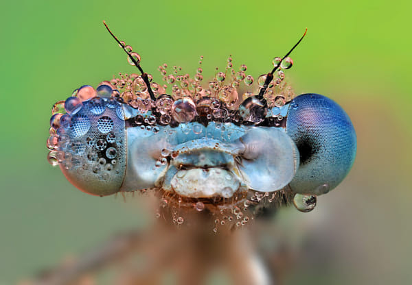Bizuterie by Ondrej Pakan (biker11) on 500px.com