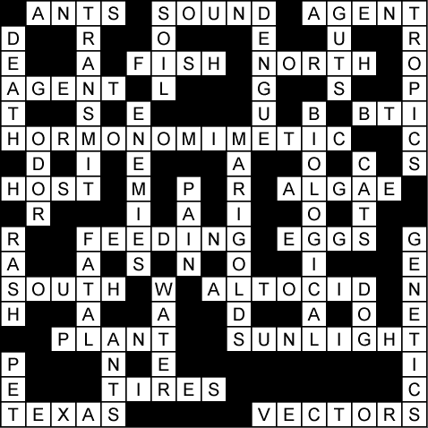 Crossword Puzzles Print on Crossword 4 78 Solution Gif