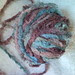 SNC00244