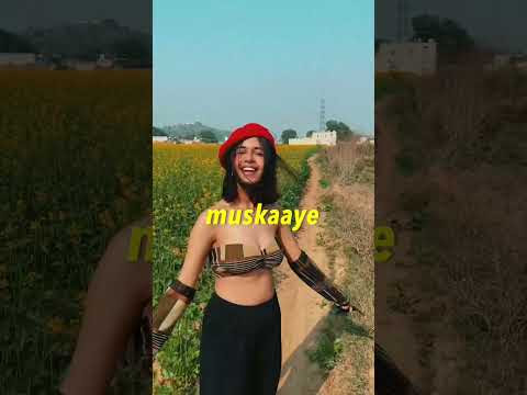 चित्र