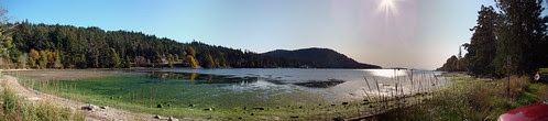 Fulford Harbour