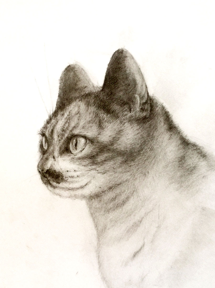 デッサン教室開催  はなみずきの会は練馬区光が丘の絵画教室です！