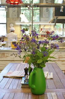 flowers from the garden