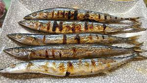 秋刀魚の塩焼きのきれいな食べ方 ランチを楽しみに働いてる 幸太の仕事は着物屋さん 楽しみは 毎日のランチ 的外れblog 呉服屋のなまい